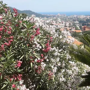 Maison d'hôtes Ospitalità In Campagna Quiliano